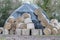 Round hay bales. Wet ruined and weather protected under polythene