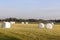 Round Hay Bales in white plastic lying on farm field
