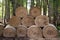 Round haystack pile in farm outdoor