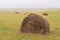 Round haystack on a sloping green field in cloudy weather