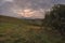 Round haystack on a sloping green field in cloudy weather