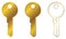 Round Head Common House Key Vector Graphic Set