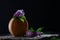 Round head of hard cheese with a sprig of lilac on a black background. Horizontal photo. Copy of the space. The concept of still