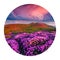 Round icon of nature with landscape. Dramatic summer sunrise with fields of blooming rhododendron flowers. Splendid scene in Car