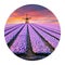 Round icon of nature with landscape. Spectacular spring view of tulips farm with windmill on background. Colorful sunset in Nether