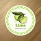 Round label or sticker design with lime illustration. Homemade limejam. For natural or organic fruit products and health