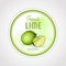 Round label or sticker design in vintage style with lime illustration. Fresh natural lime. For natural or organic fruit