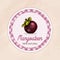 Round label or sticker design in vintage style with mangosteen illustration. Natural mangosteen. For natural or organic fruit