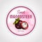 Round label or sticker design in vintage style with mangosteen illustration. Sweet natural mangosteen. For natural or organic