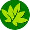 Round leaf logo