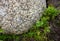 Round light granite stone in the garden on the ground, green grass around