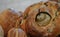 A round loaf of sour dough bread, baked with a pear in the centre and herbs sprinkled on top.