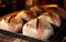 round loaves of sourdough bread fresh from the oven