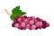 Round Lying Berry Cluster of Purple Grape Vector Illustration