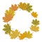 Round maple leaf frame. Autumnal wreath frame with colorful leaves