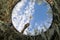 Round Mirror In The Grass - Trendy Image, Close To Nature. Dandelion in the mirror against the blue sky