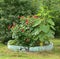 Round old concrete blue flowerbed with plants and flowers