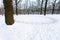 Round path trodden in snow on meadow in oak grove