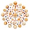 Round pattern of shells, starfish and glass beads on white background