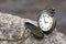 Round pocket watch with hands on the rock on background of water