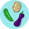 Round postcard with fresh vegetables, cucumber, potato, eggplant, vector illustration.