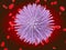 Round purple microbe with blood. Raster