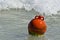 Round red buoy riding the sea waves