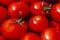 Round red tomatoes in a basin of water are ready for preservation