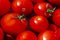 Round red tomatoes in a basin of water are ready for preservation