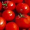 Round red tomatoes in a basin of water are ready for preservation