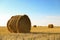 Round rolled hay bales in agricultural field on sunny day