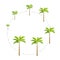 Round set growth stages of palm tree. Vector Illustration growing plants. Circle period progression life cycle animation