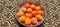 Round shape papayas are ready to serve