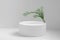 Round shape of white cylinder made of polystyrene with green twig, on light monochrome background. Empty 3d podium for