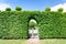 Round shaped topiary green trees hedge in ornamental garden.