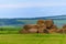 Round sheaves of hay in rolls. Background with copy space