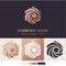 Round spiral logo. Swirling elegant waves of fabric. Template for creating a unique luxury design, logo, fashion, studio, boutique