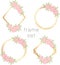 Round and square gold frames set with abstract flowers and leaves