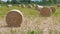 Round stack of straw or hay on the field