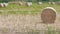 Round stack of straw or hay on the field