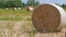 Round stack of straw or hay on the field