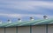 Round stainless steel roof ventilators on corrugated metal rooftop of industrial building against clouds on blue sky background