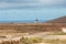 Round stone windmill near Tefia on Fuerteventura