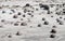 Round stones balls in Ischigualasto, Valle de la Luna