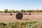 Round straw bale on harvested field against the same bales