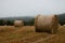 Round Straw Bale In Stubble Field