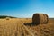 Round straw bales