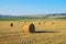 Round straw bales on field