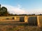 Round straw bales in harvested fields