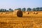 Round straw bales in harvested fields